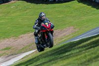 Oulton-Park-20th-March-2020;PJ-Motorsport-Photography-2020;anglesey;brands-hatch;cadwell-park;croft;donington-park;enduro-digital-images;event-digital-images;eventdigitalimages;mallory;no-limits;oulton-park;peter-wileman-photography;racing-digital-images;silverstone;snetterton;trackday-digital-images;trackday-photos;vmcc-banbury-run;welsh-2-day-enduro